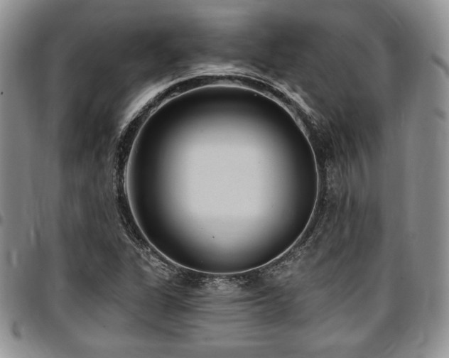 X0000097291311200802151405
