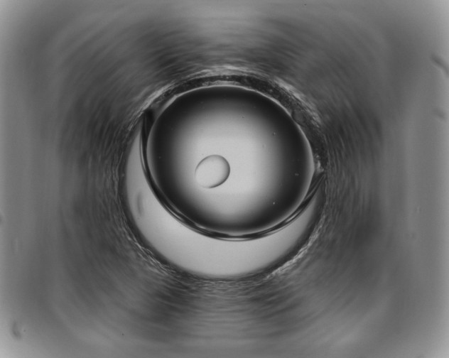 X0000097291313200802151405