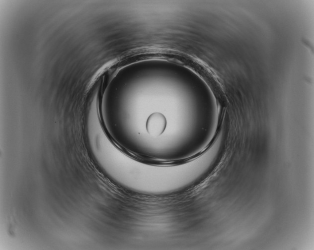 X0000097291314200802151405