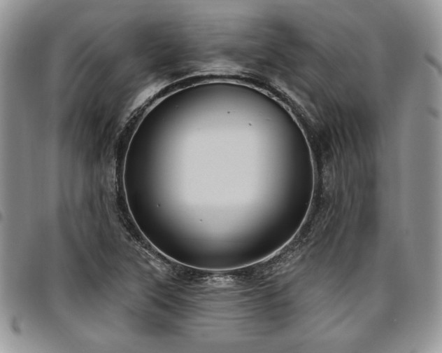 X0000097291315200802151405