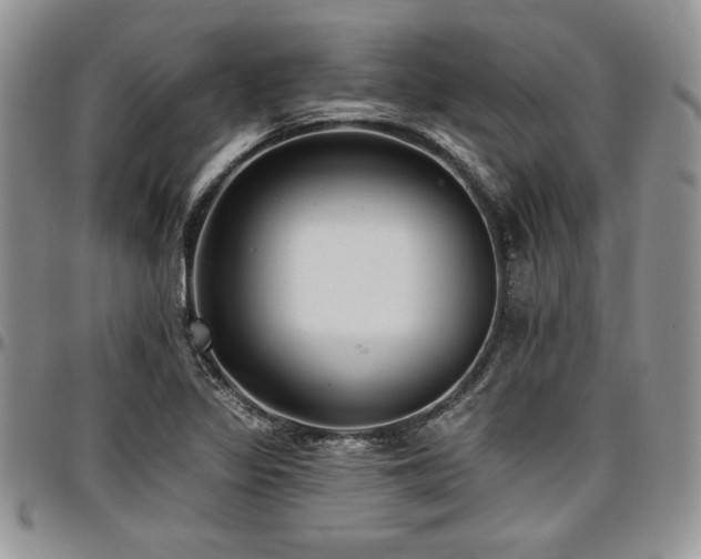 X0000097291317200802151405