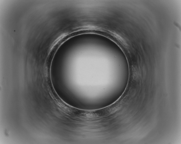 X0000097291318200802151405