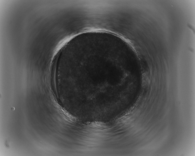 X0000097291319200802151405