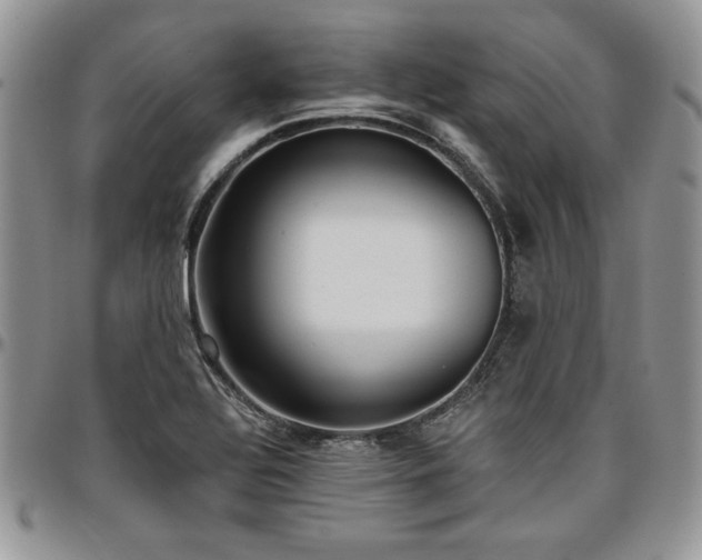 X0000097291320200802151405