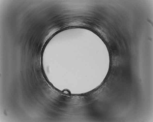 X0000097291322200802151405