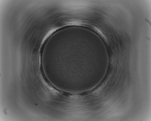 X0000097291323200802151405