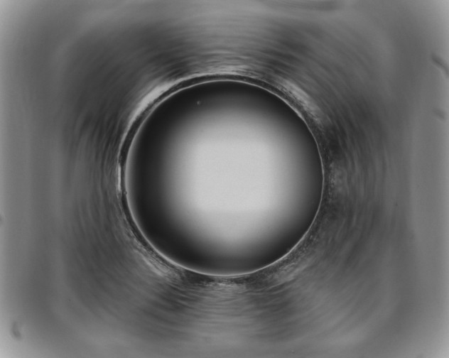 X0000097291324200802151405