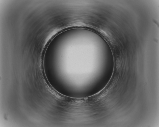 X0000097291326200802151406