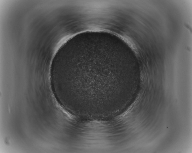 X0000097291327200802151406