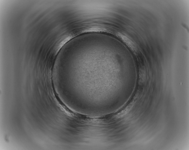 X0000097291329200802151406