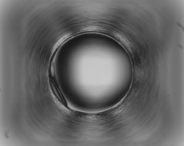 X0000097291330200802151406