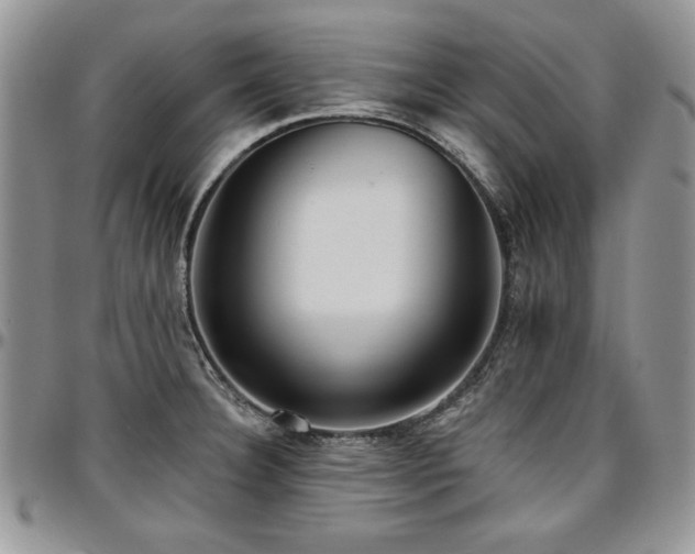 X0000097291332200802151406