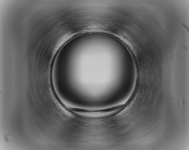 X0000097291333200802151406