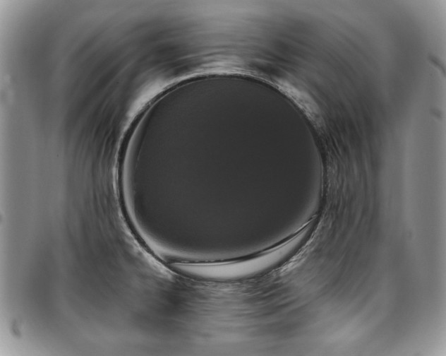 X0000097291334200802151406
