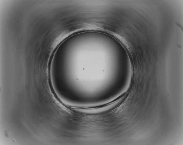 X0000097291335200802151406
