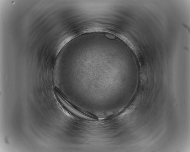 X0000097291337200802151406