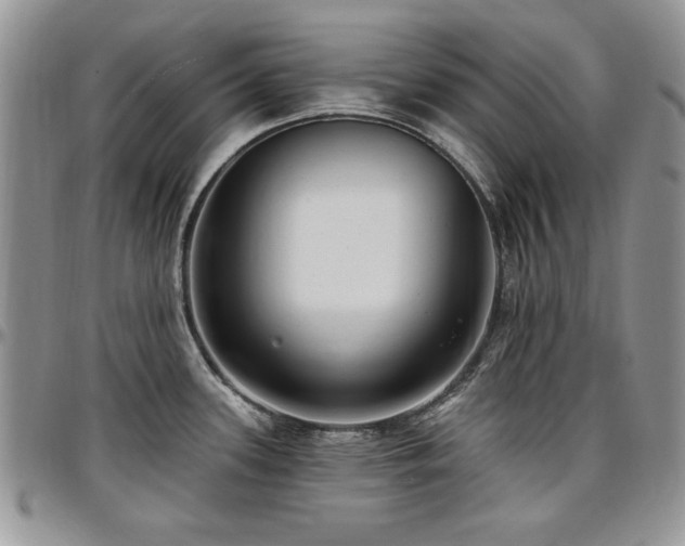 X0000097291339200802151406