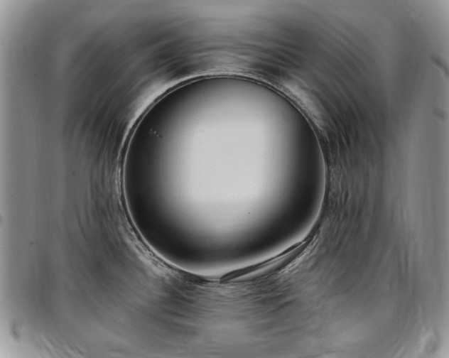 X0000097291340200802151406