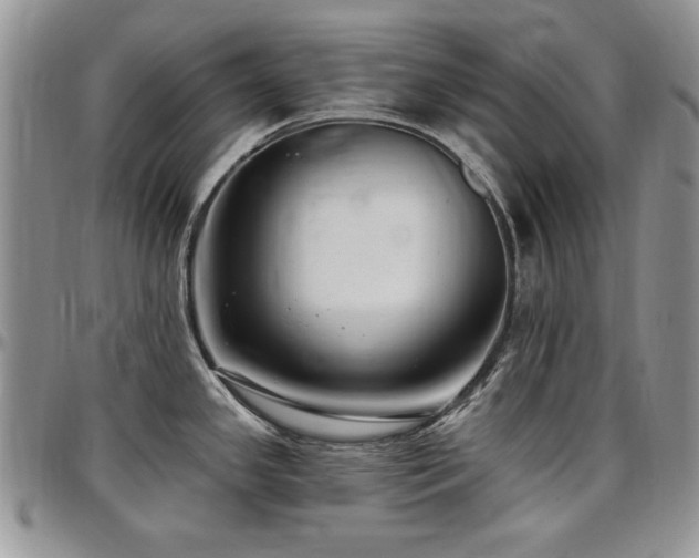 X0000097291341200802151406