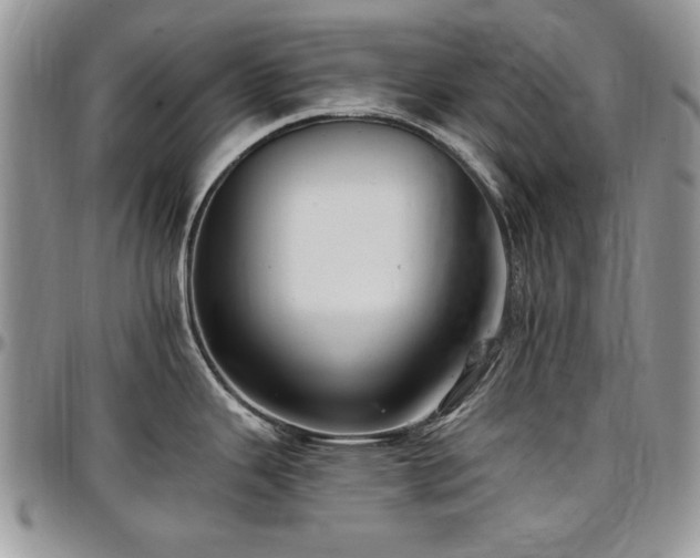 X0000097291343200802151406