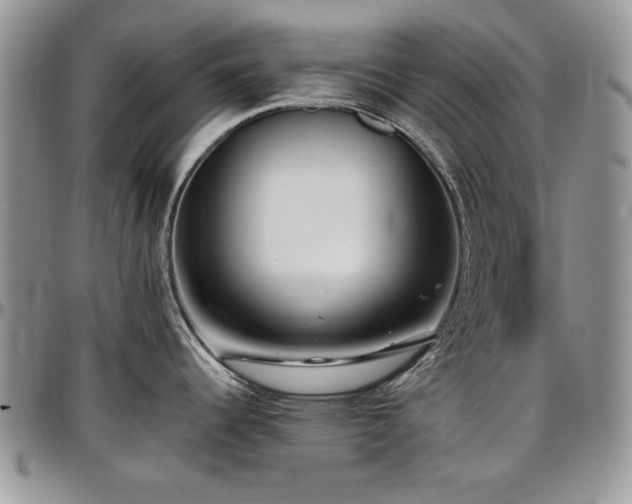 X0000097291344200802151406