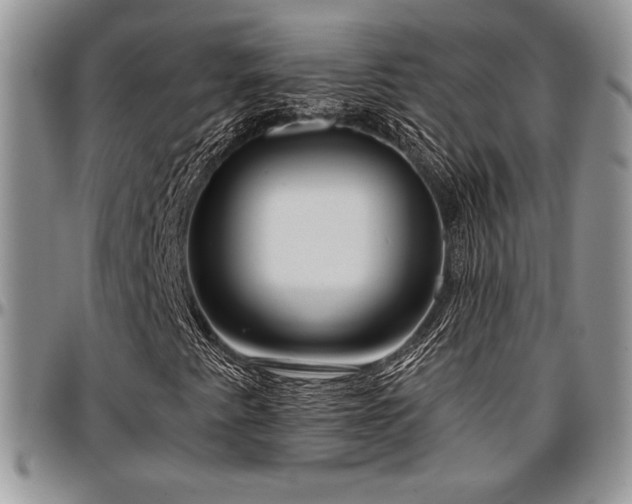 X0000097291345200802151405