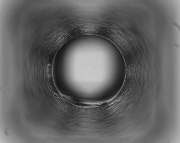 X0000097291346200802151405