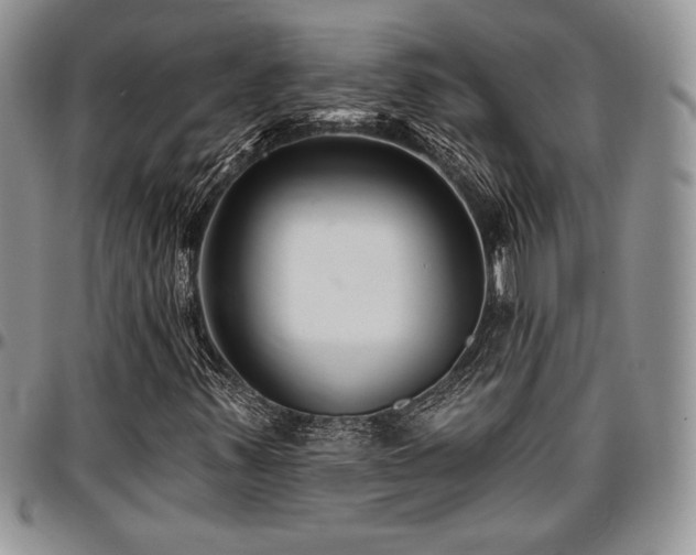 X0000097291347200802151405