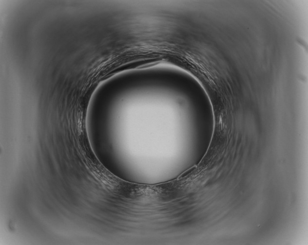 X0000097291348200802151405