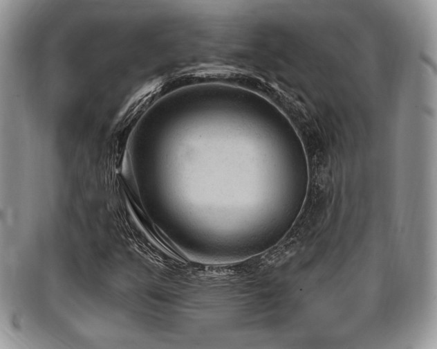 X0000097291351200802151405