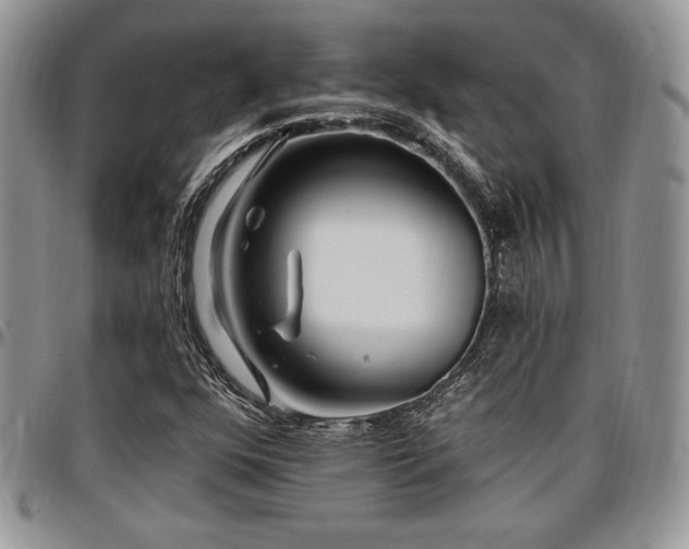 X0000097291352200802151405