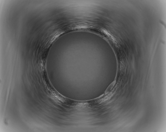 X0000097291353200802151405