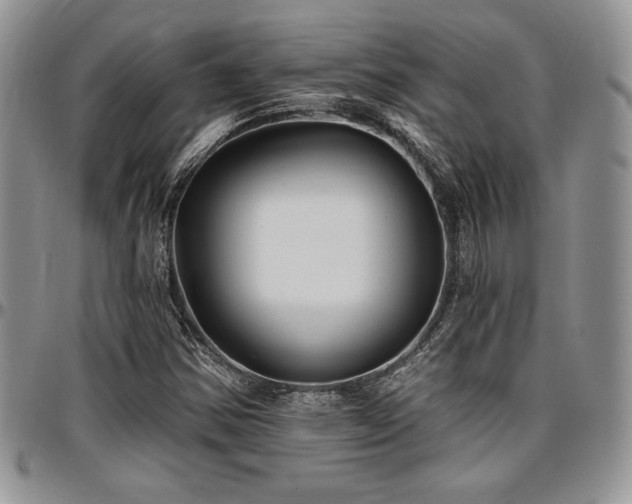 X0000097291354200802151405