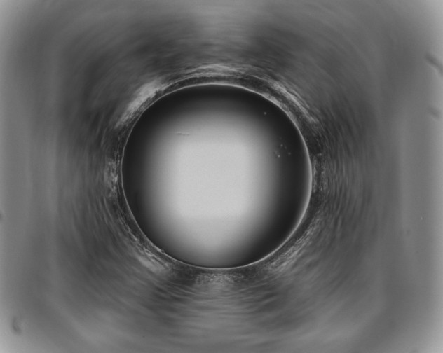 X0000097291355200802151405