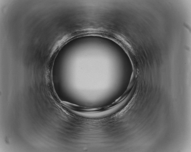 X0000097291357200802151405