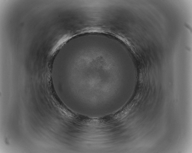 X0000097291359200802151405