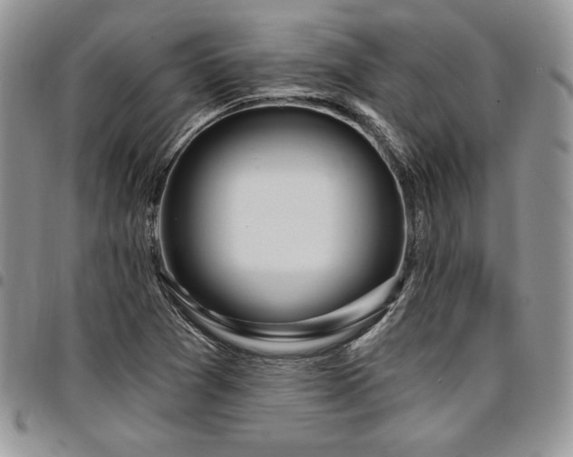 X0000097291361200802151405