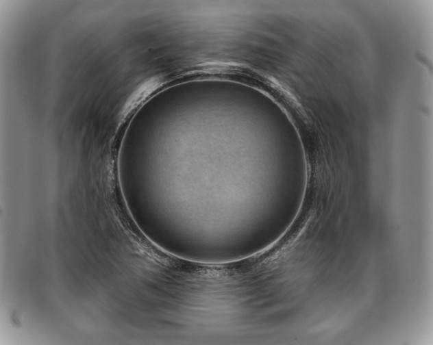 X0000097291362200802151405