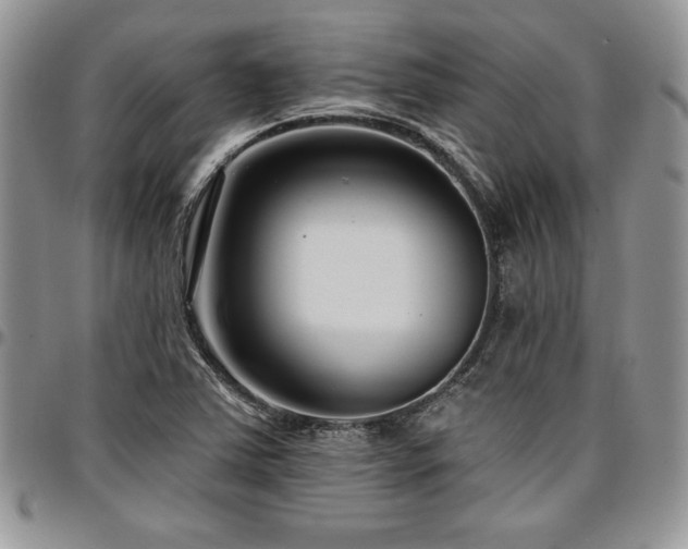 X0000097291363200802151405