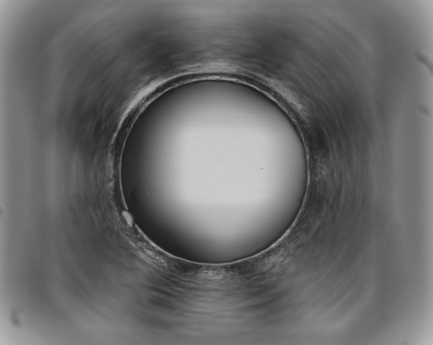 X0000097291364200802151405