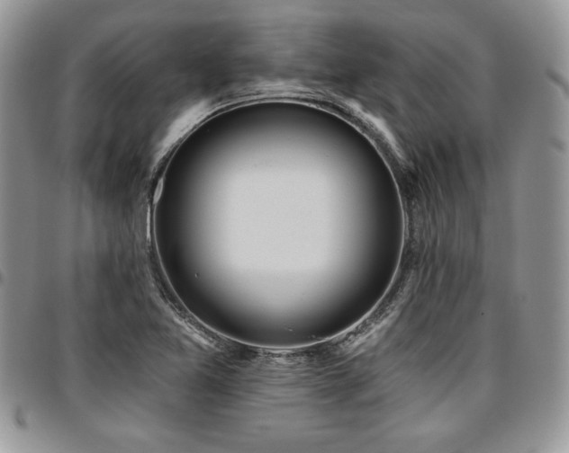 X0000097291365200802151405