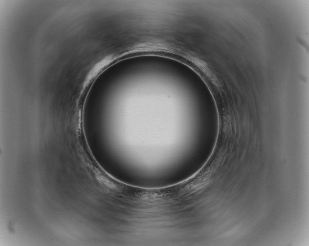 X0000097291366200802151405