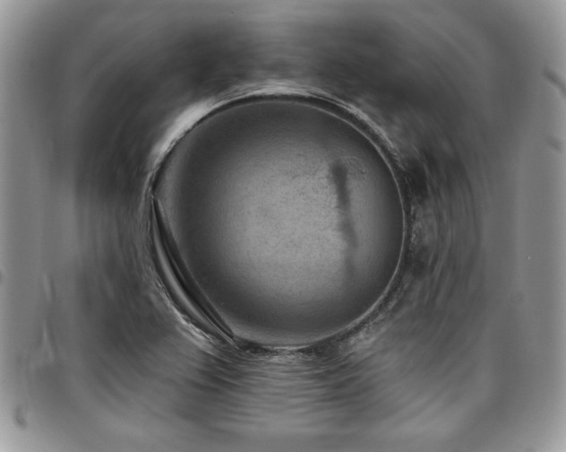 X0000097291367200802151405