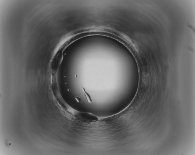 X0000097291368200802151405