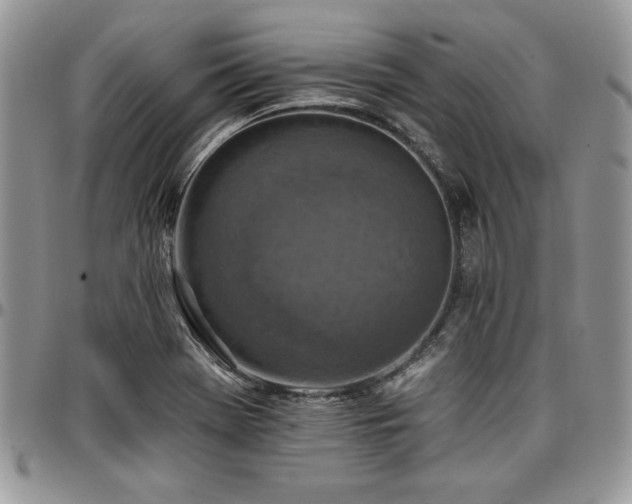 X0000097291369200802151405