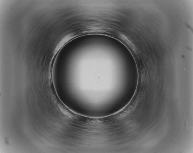 X0000097291370200802151405