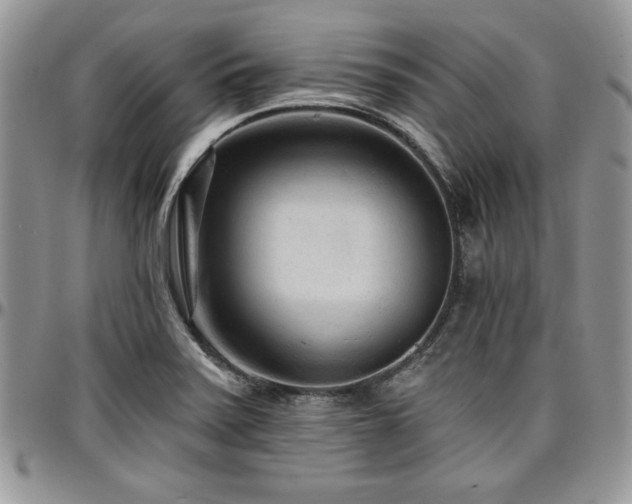 X0000097291371200802151405