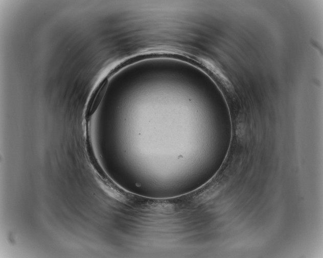 X0000097291372200802151405