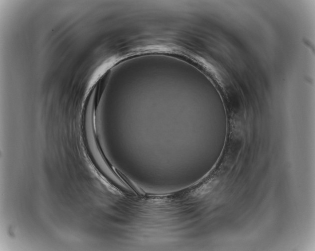 X0000097291373200802151405