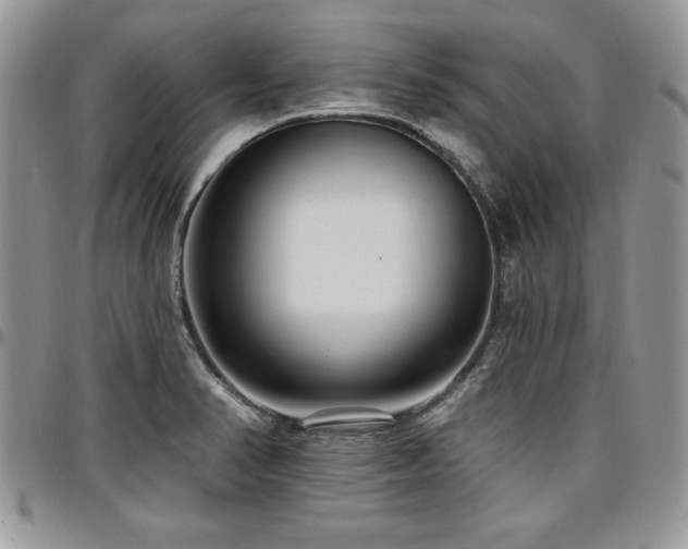 X0000097291374200802151405